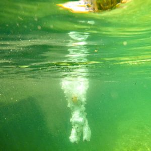 4bcccbba 5e45 49a9 87d8 ff8a59a5ee28 1