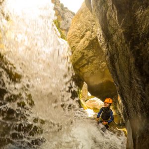 9cc688a3 0c85 4718 80e3 fbb730713b5f 2