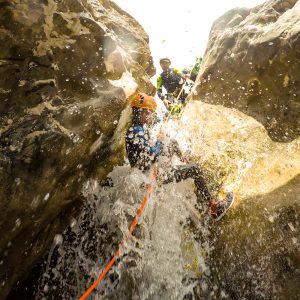 be990933 06e8 43bb bccc efdabc65f28b